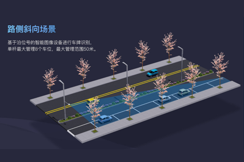 停车收费道闸路内停车高、低位视频桩